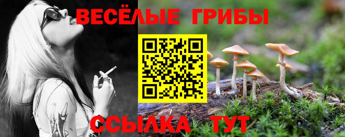 Псилоцибиновые грибы ЛСД Рославль
