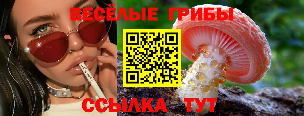 MDMA Рославль